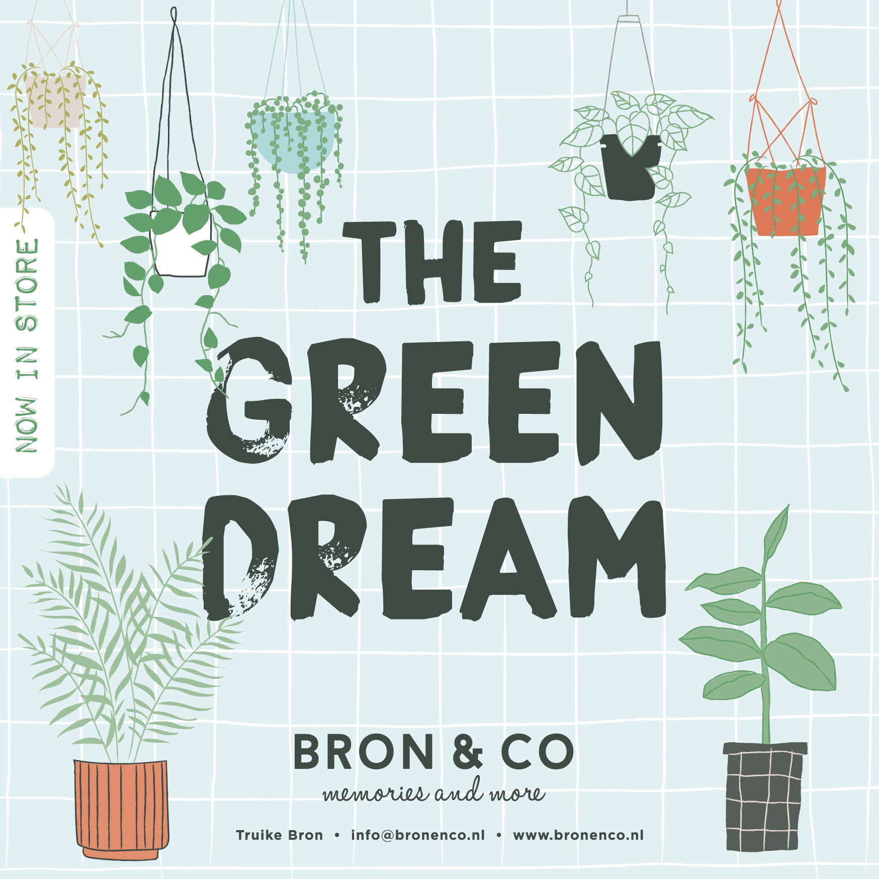 BRON_GREEN_in store